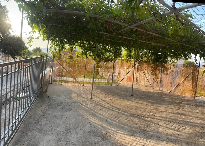 Pipis House